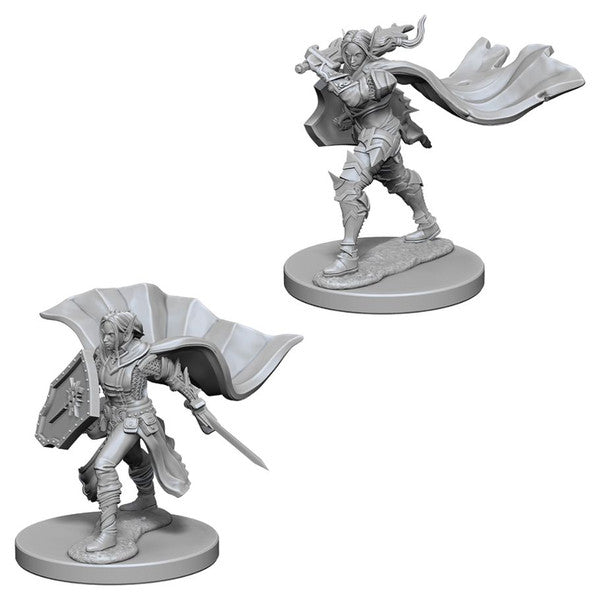 Pathfinder: Deep Cuts Unpainted Miniatures - Elf Female Paladin