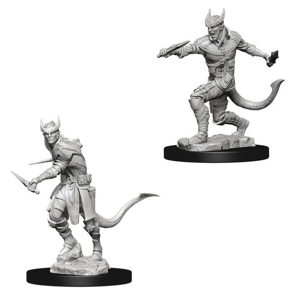 Nolzur's Marvelous Unpainted Miniatures - Tiefling Male Rogue