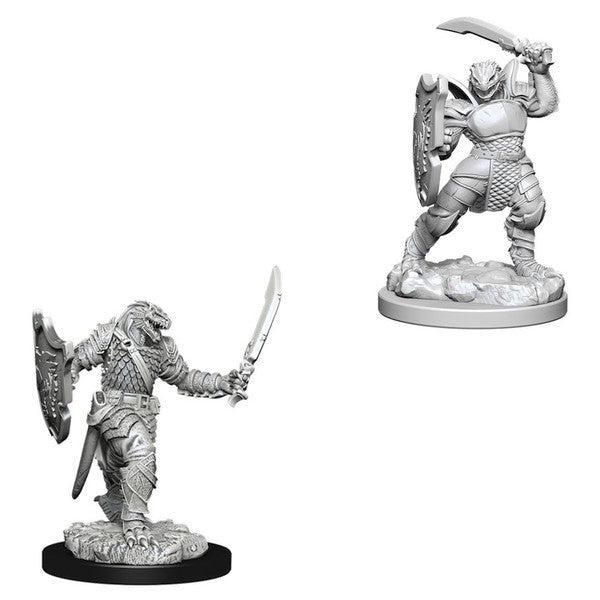 Nolzur's Marvelous Unpainted Miniatures - Dragonborn Female Paladin