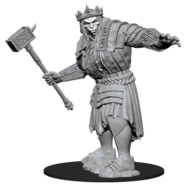 Nolzur's Marvelous Unpainted Miniatures - Fire Giant