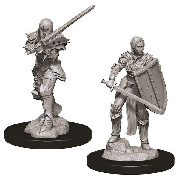 Nolzur's Marvelous Unpainted Miniatures - Female Human Fighter