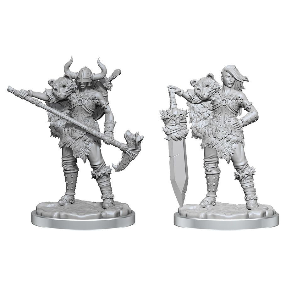 Dungeons & Dragons: Frameworks - Human Barbarian Female