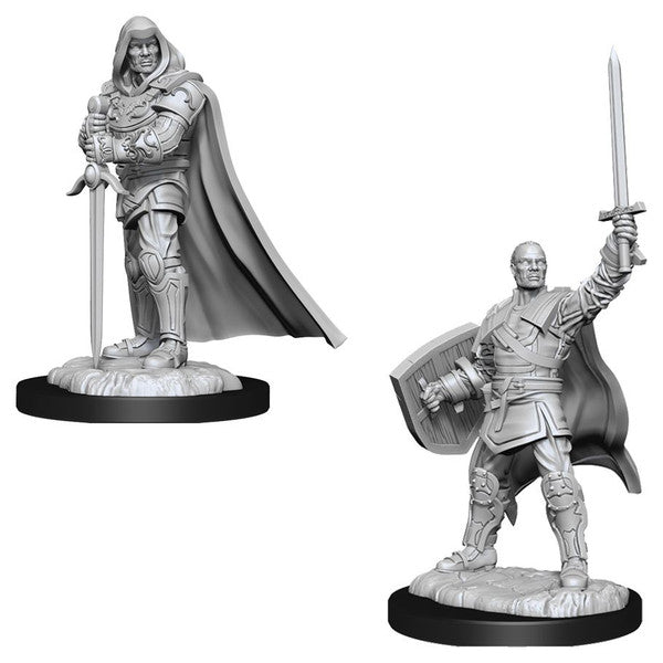 Nolzur's Marvelous Unpainted Miniatures - Human Paladin Male (90136)