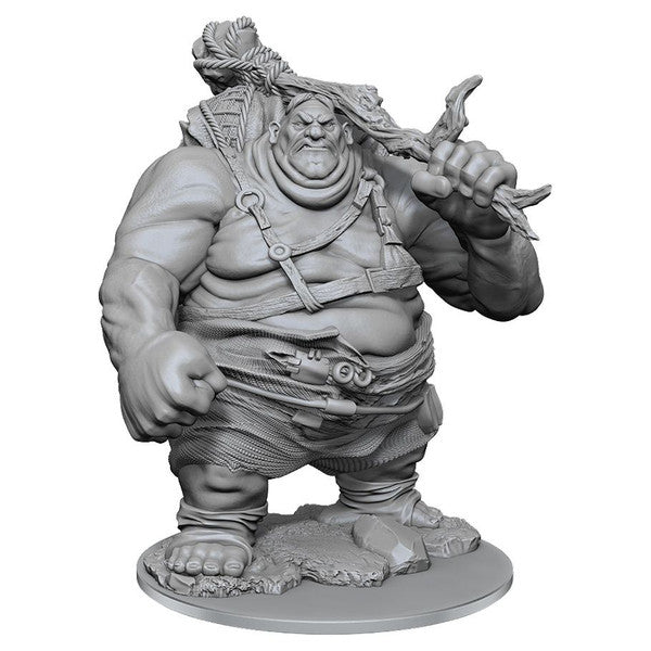 Nolzur's Marvelous Unpainted Miniatures - Hill Giant (90497)