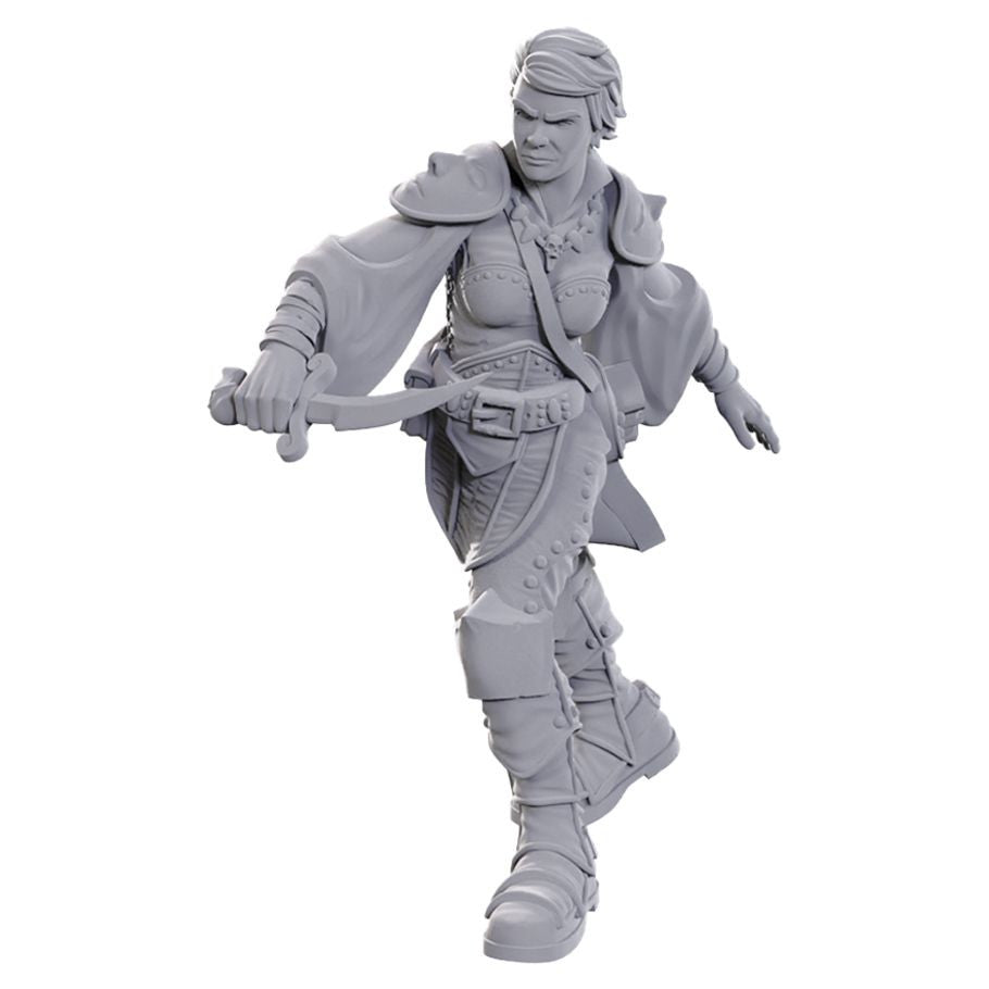 Nolzur's Marvelous Unpainted Miniatures - Swashbuckler (90762)