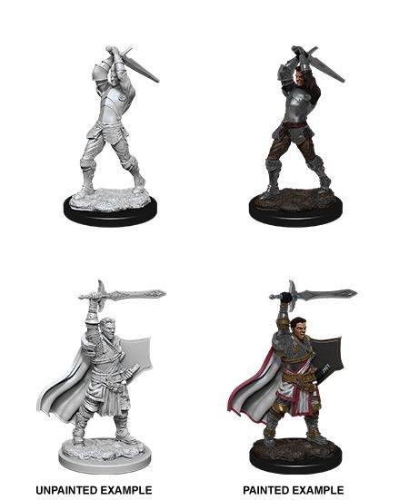 Nolzur's Marvelous Unpainted Miniatures - Male Human Paladin