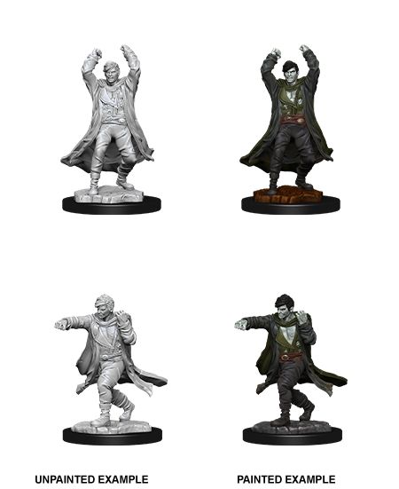 Nolzur's Marvelous Unpainted Miniatures - Revenant