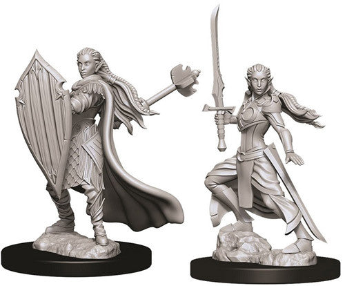Nolzur's Marvelous Unpainted Miniatures - Female Elf Paladin