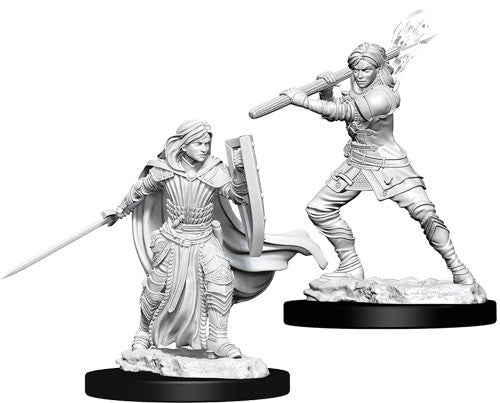 Nolzur's Marvelous Unpainted Miniatures - Female Human Paladin