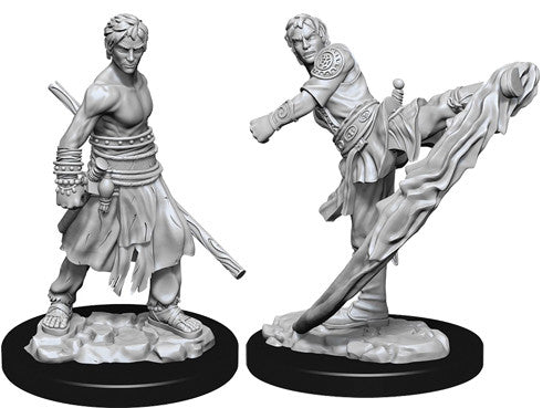Nolzur's Marvelous Unpainted Miniatures - Male Half-Elf Monk