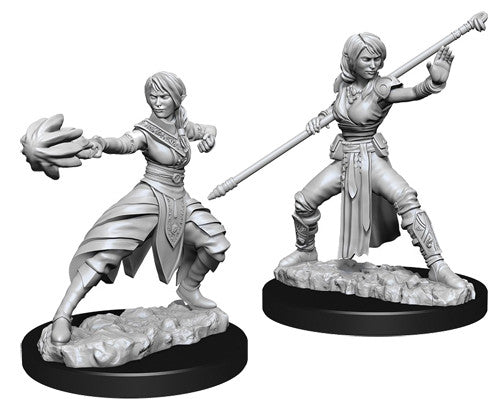 Nolzur's Marvelous Unpainted Miniatures - Female Half-Elf Monk