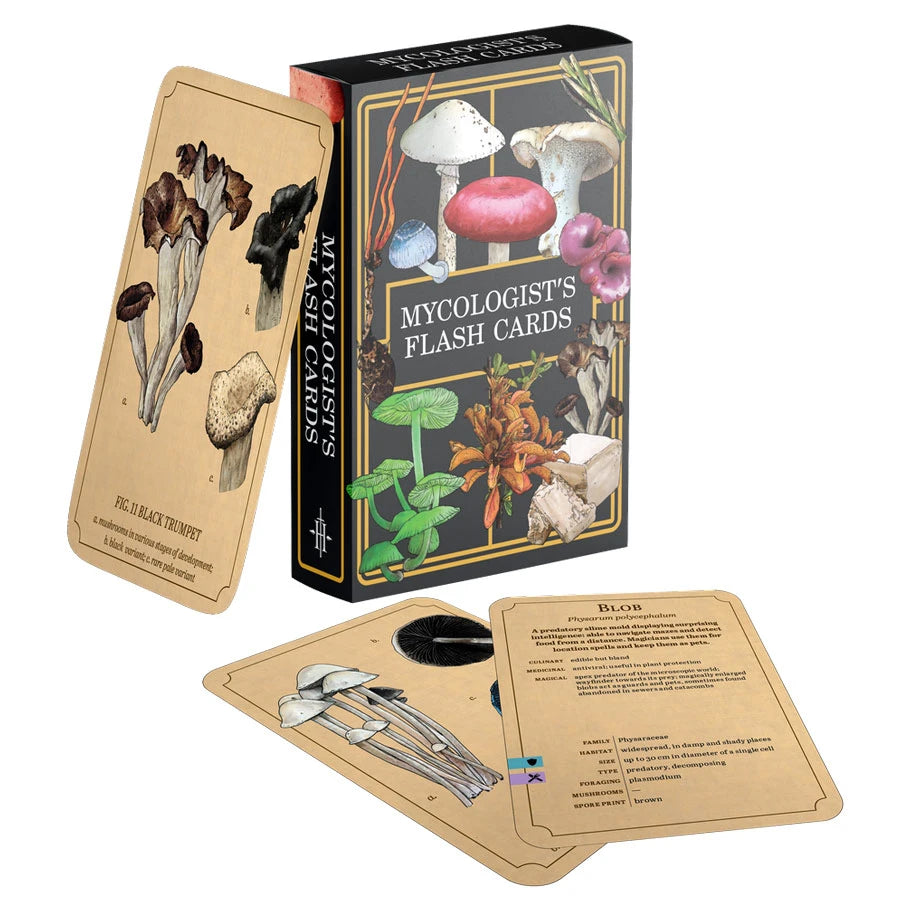Mycologist's Primer - Flash Cards