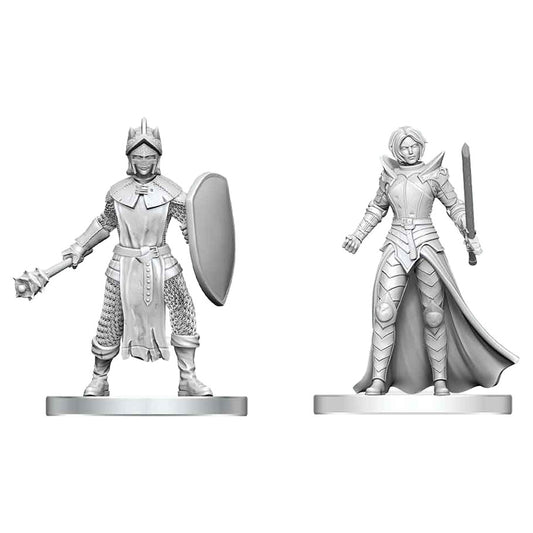 Nolzur's Marvelous Unpainted Miniatures - Black Gauntlet & Zhentilar Paladin of Bane (90892)