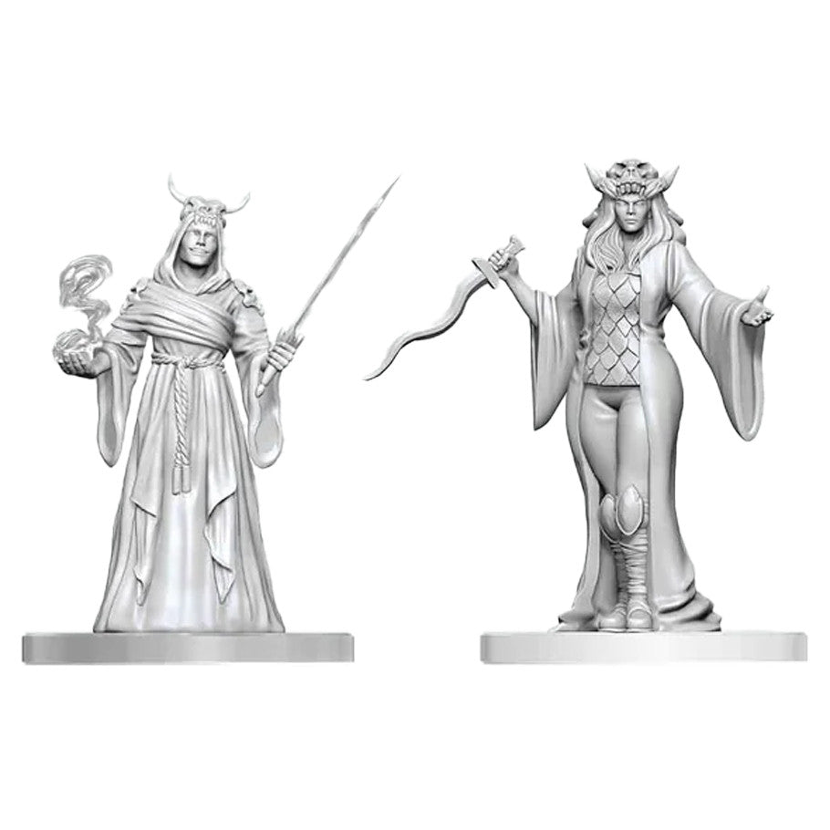 Nolzur's Marvelous Unpainted Miniatures - Cultist Fanatic & Hierophant