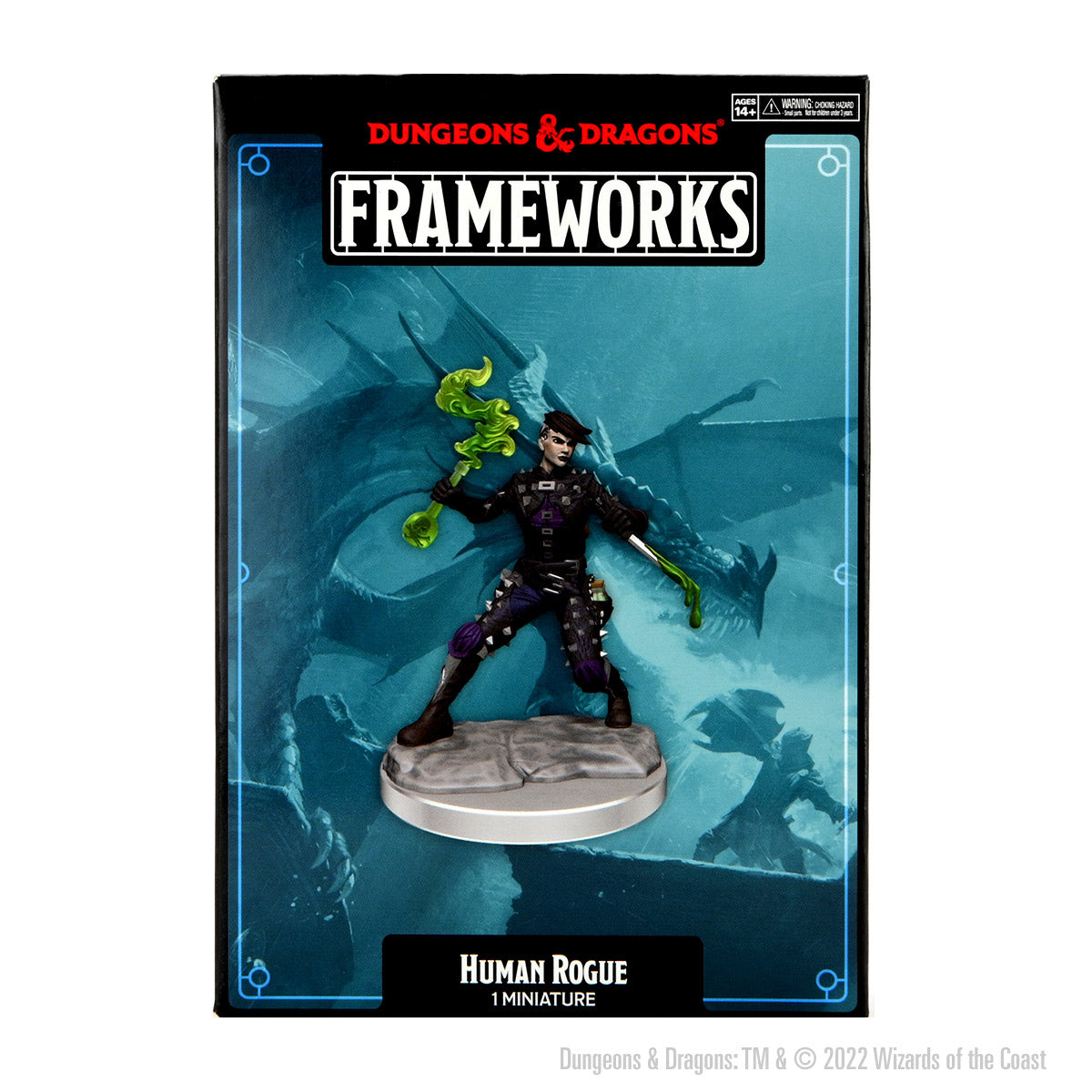 Dungeons & Dragons: Frameworks - Human Rogue