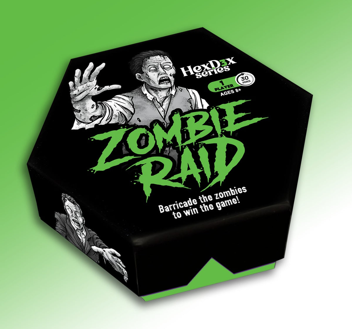Zombie Raid