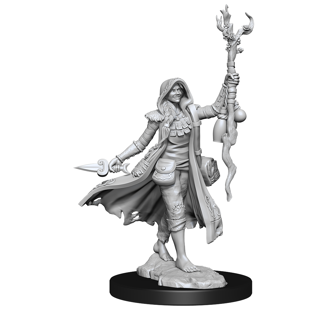 Dungeons & Dragons: Frameworks - Human Druid