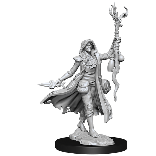 Dungeons & Dragons: Frameworks - Human Druid