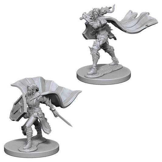 Pathfinder: Deep Cuts Unpainted Miniatures - Elf Female Paladin