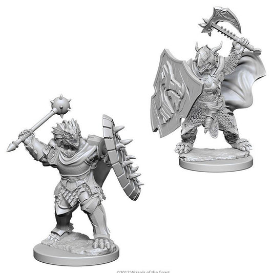 Nolzur's Marvelous Unpainted Miniatures - Dragonborn Male Paladin