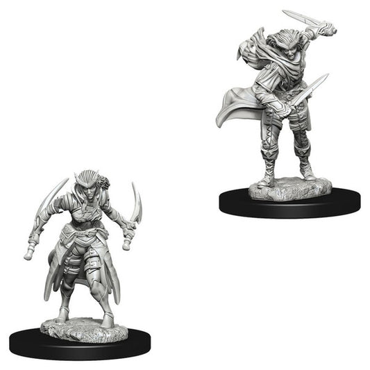 Nolzur's Marvelous Unpainted Miniatures - Tiefling Female Rogue