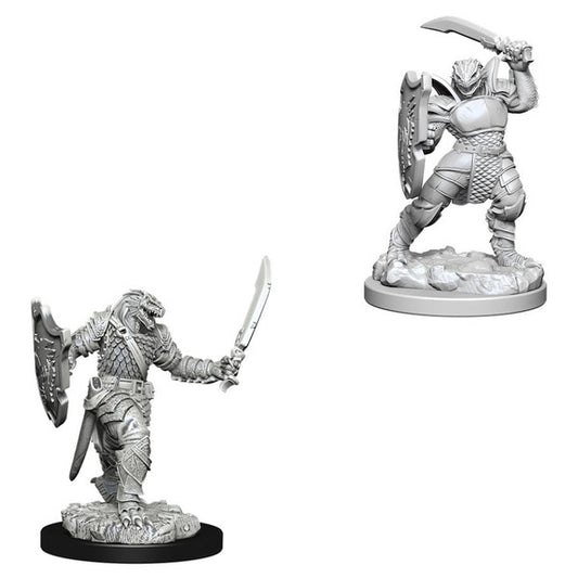 Nolzur's Marvelous Unpainted Miniatures - Dragonborn Female Paladin