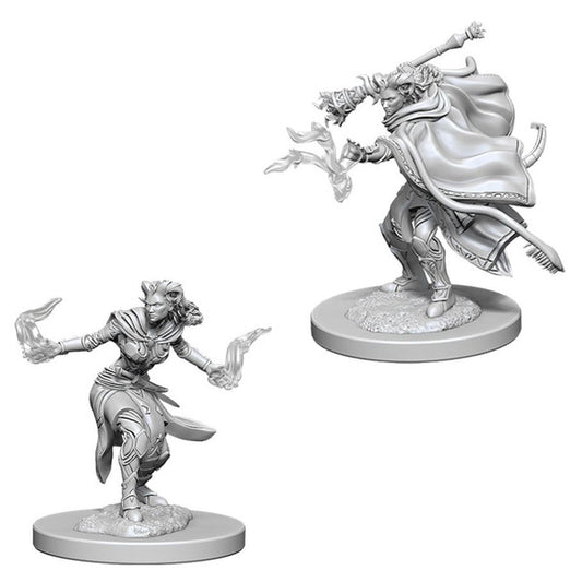 Nolzur's Marvelous Unpainted Miniatures - Female Tiefling Warlock