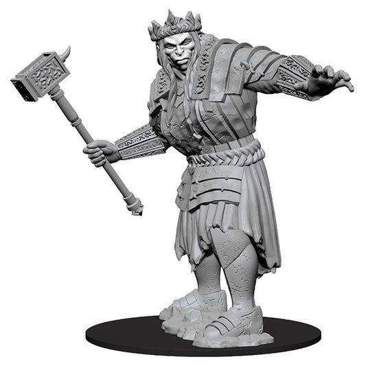 Nolzur's Marvelous Unpainted Miniatures - Fire Giant