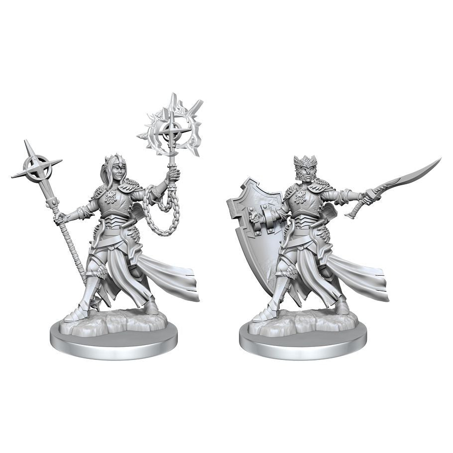 Dungeons & Dragons: Frameworks - Elf Paladin Female