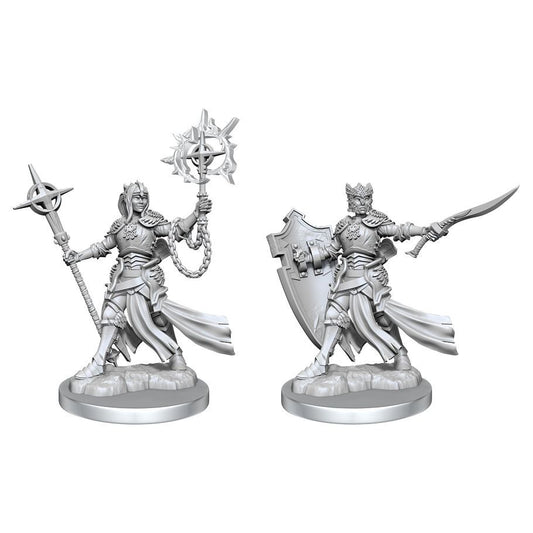 Dungeons & Dragons: Frameworks - Elf Paladin Female