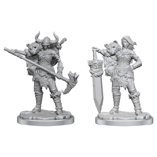 Dungeons & Dragons: Frameworks - Human Barbarian Female