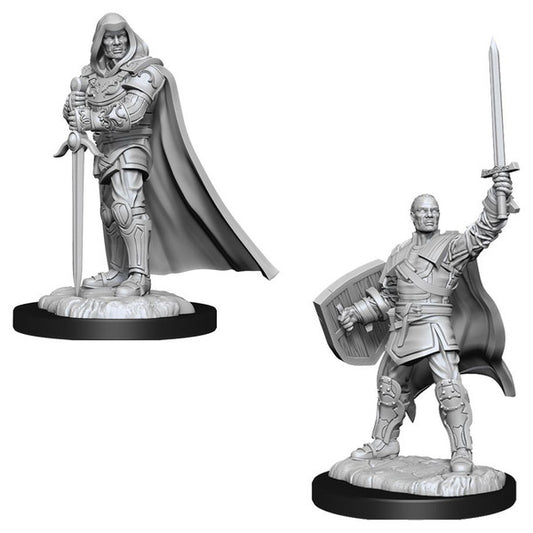 Nolzur's Marvelous Unpainted Miniatures - Human Paladin Male (90136)