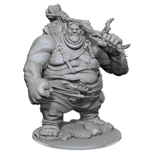 Nolzur's Marvelous Unpainted Miniatures - Hill Giant (90497)