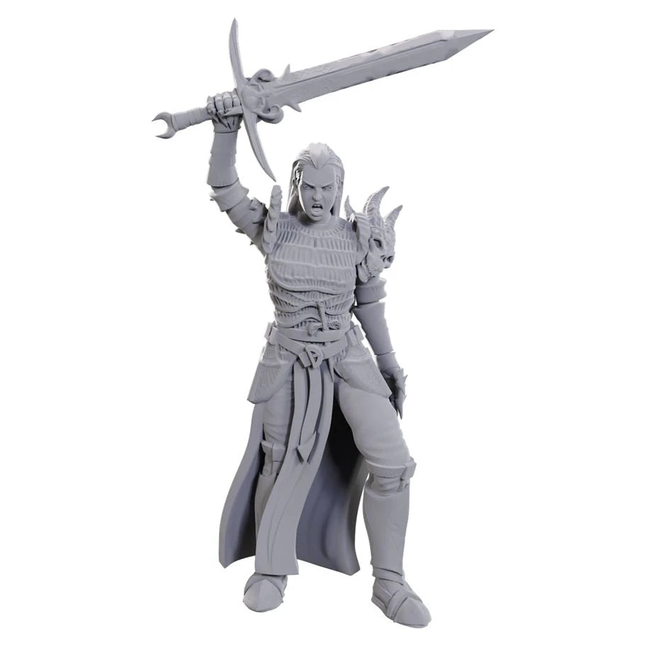 Nolzur's Marvelous Unpainted Miniatures - Blackguard (90772)