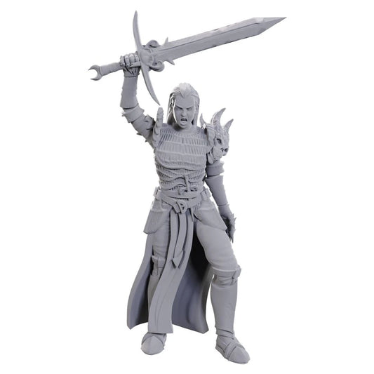 Nolzur's Marvelous Unpainted Miniatures - Blackguard (90772)