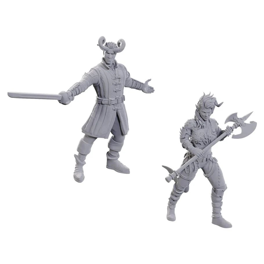 Nolzur's Marvelous Unpainted Miniatures - Special Edition Baldur's Gate 3 - Wyll & Karlach (96367)