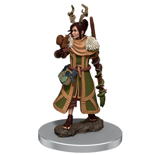 Icons of the Realms: Premium Figures - Human Druid