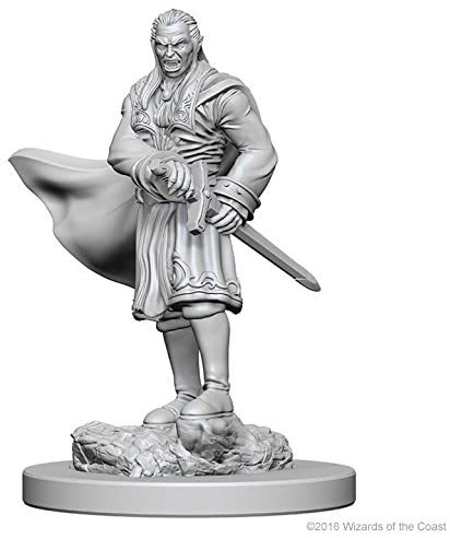 Nolzur's Marvelous Unpainted Miniatures - Vampires