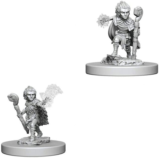 Pathfinder: Deep Cuts Unpainted Miniatures - Gnome Male Druid