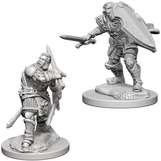 Nolzur's Marvelous Unpainted Miniatures - Human Male Paladin