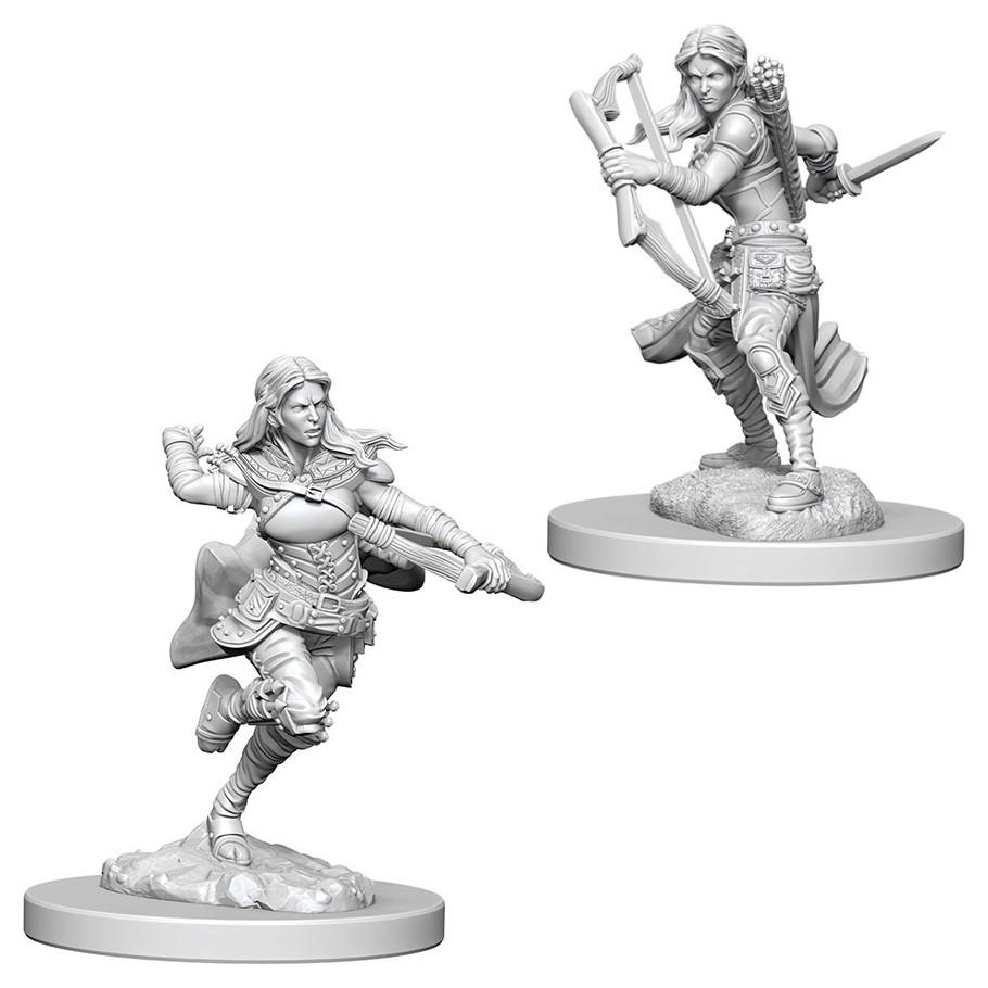 Nolzur's Marvelous Unpainted Miniatures - Air Genasi Female Rogue
