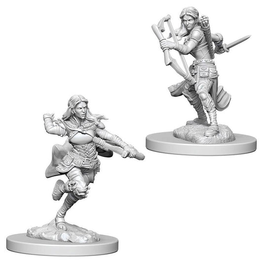 Nolzur's Marvelous Unpainted Miniatures - Air Genasi Female Rogue