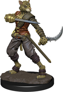 Icons of the Realms: Premium Figures - Tabaxi Rogue Male
