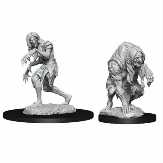 Pathfinder: Deep Cuts Unpainted Miniatures - Annis Hag & Green Hag