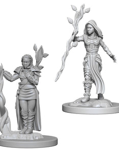 Nolzur's Marvelous Unpainted Miniatures - Human Female Druid