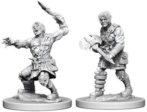 Nolzur's Marvelous Unpainted Miniatures - Nameless One