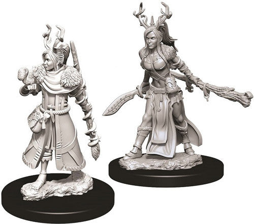 Nolzur's Marvelous Unpainted Miniatures - Female Human Druid