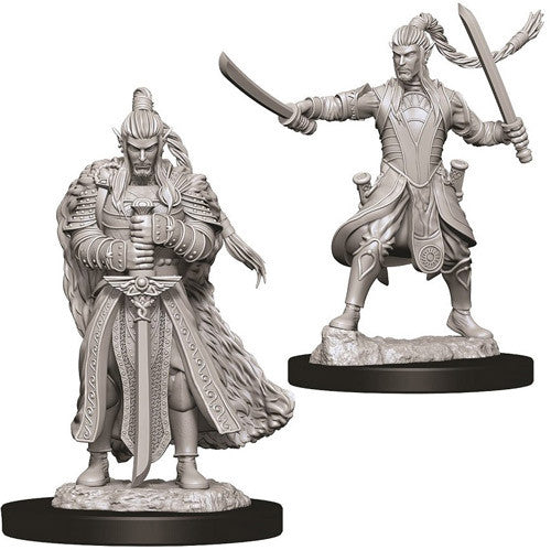 Nolzur's Marvelous Unpainted Miniatures - Male Elf Paladin