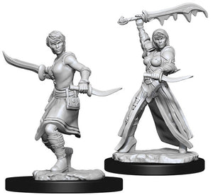 Nolzur's Marvelous Unpainted Miniatures - Female Human Rogue