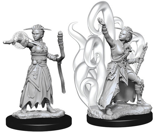 Nolzur's Marvelous Unpainted Miniatures - Female Human Warlock